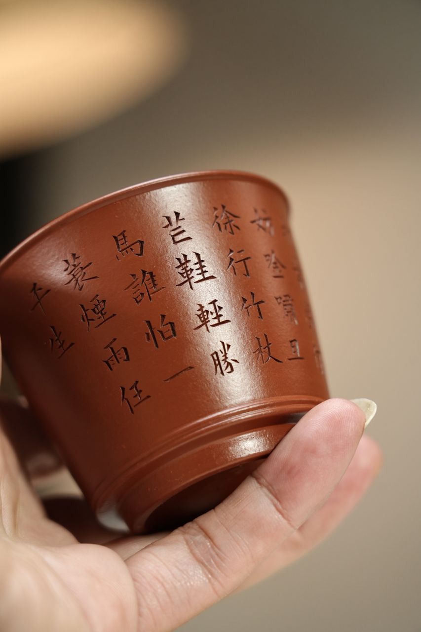 主人杯