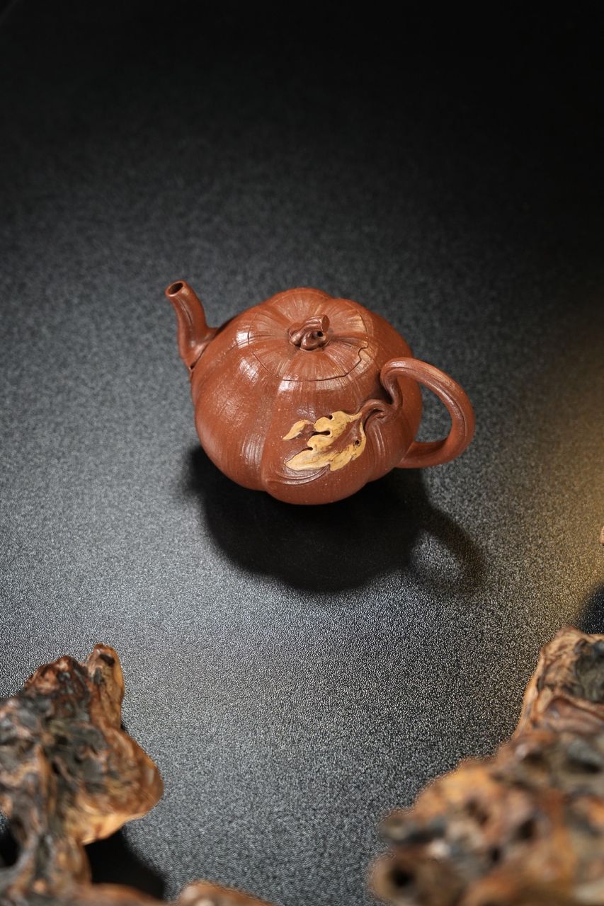 南瓜 實物圖 12