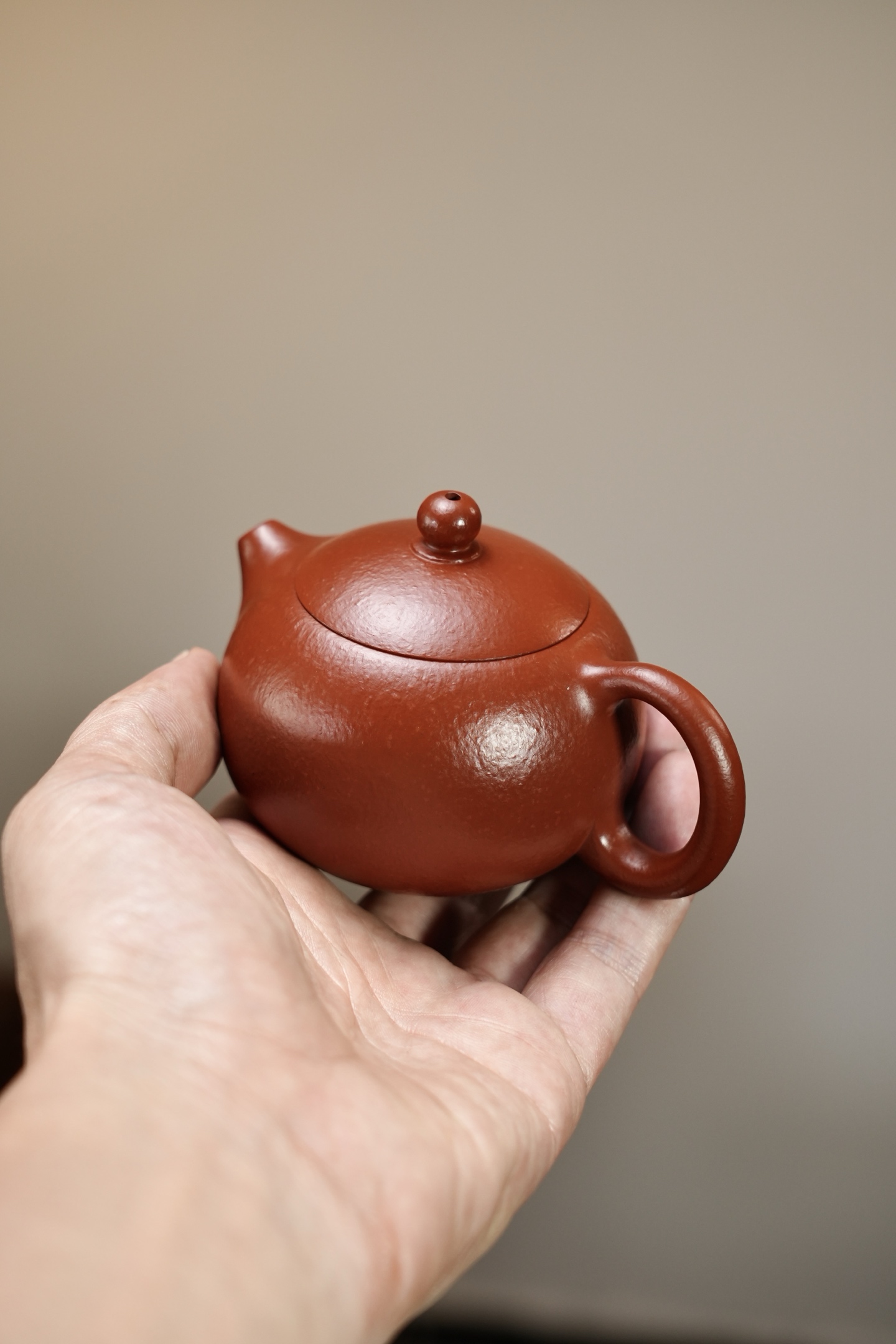 小西施 實物圖 3
