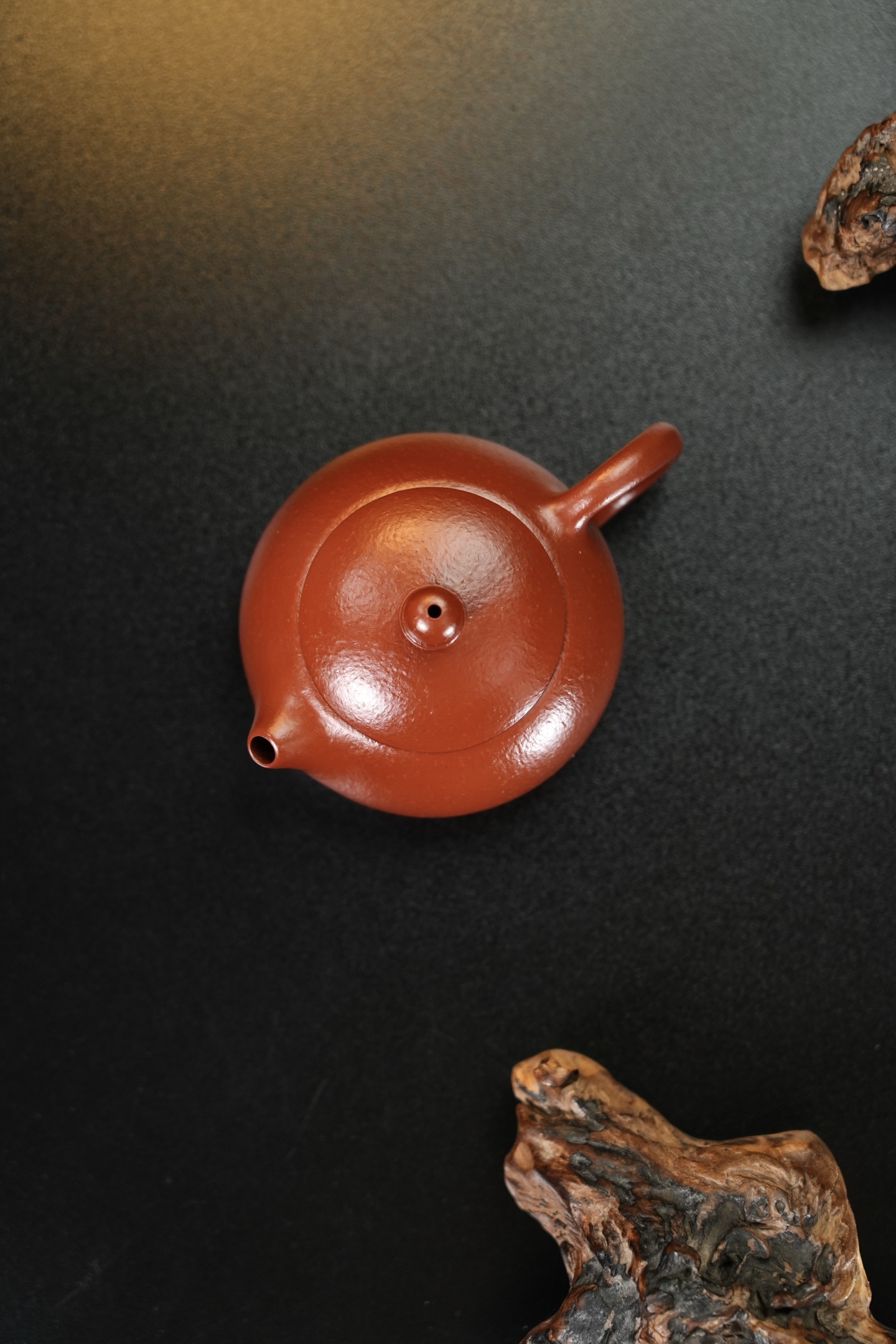 小西施 實物圖 5