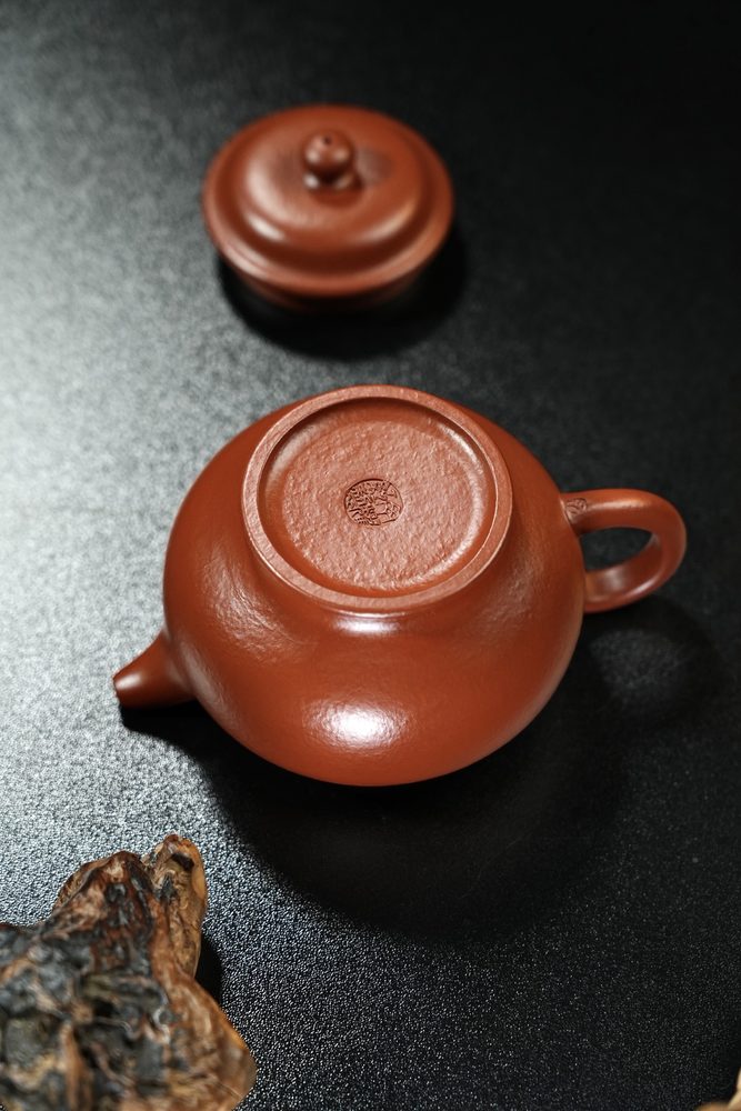 掇只 實物圖 9