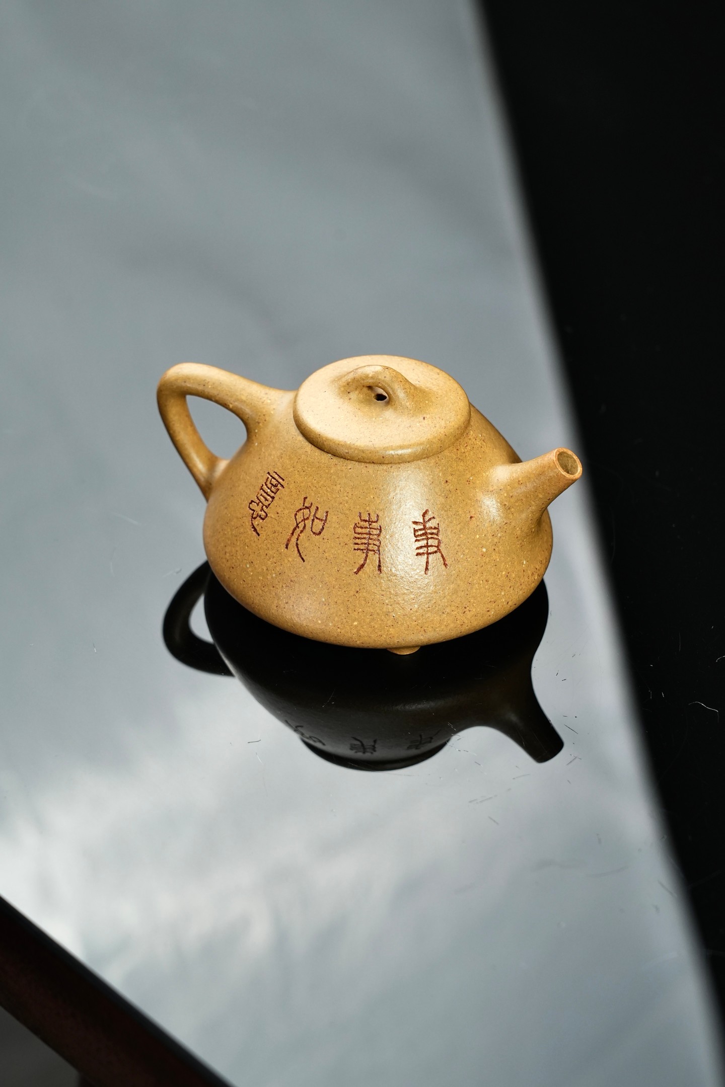 松针 實物圖 14