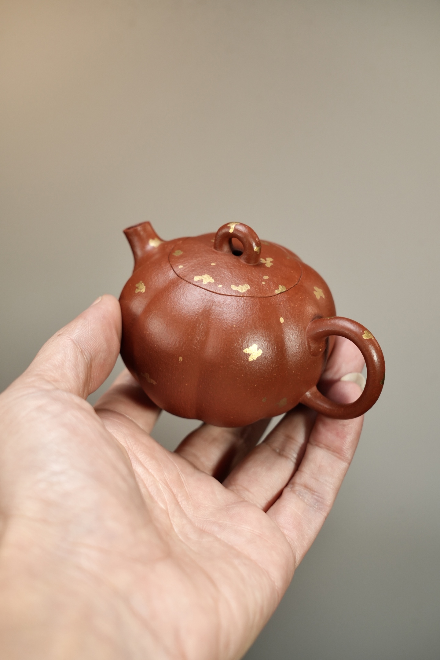 柿柿 實物圖 3