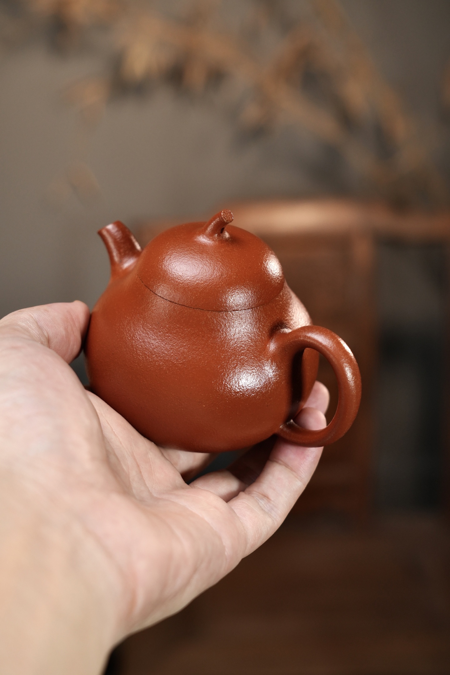茄瓜2 實物圖 3