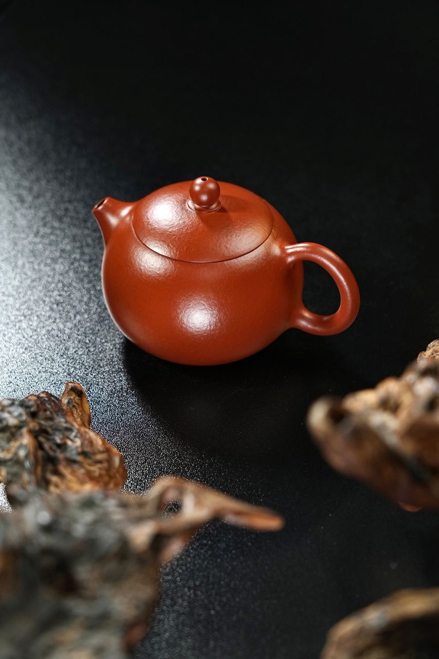 西施 實物圖 3