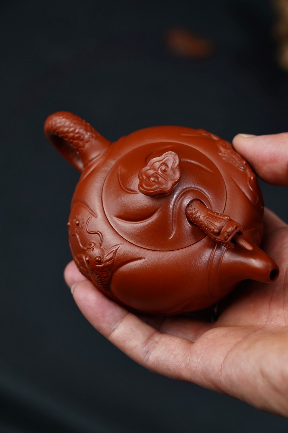 鱼化龍 實物圖 8