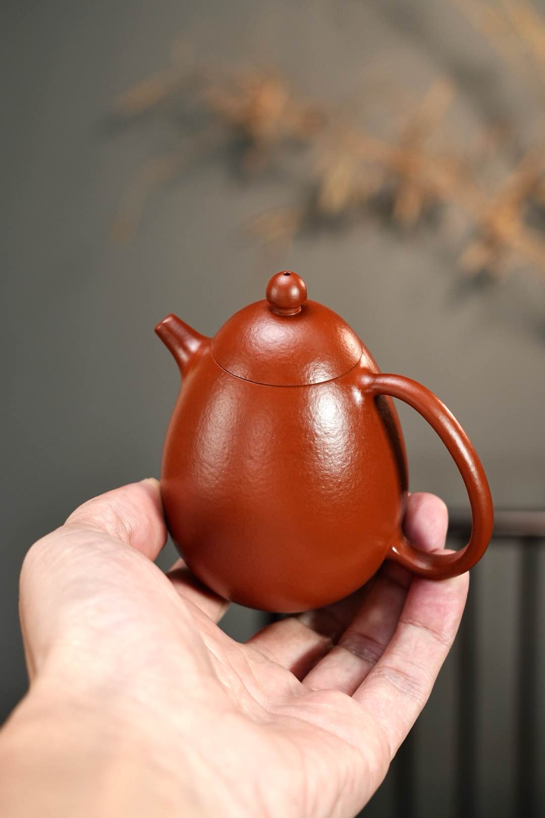 龍蛋2 實物圖 3