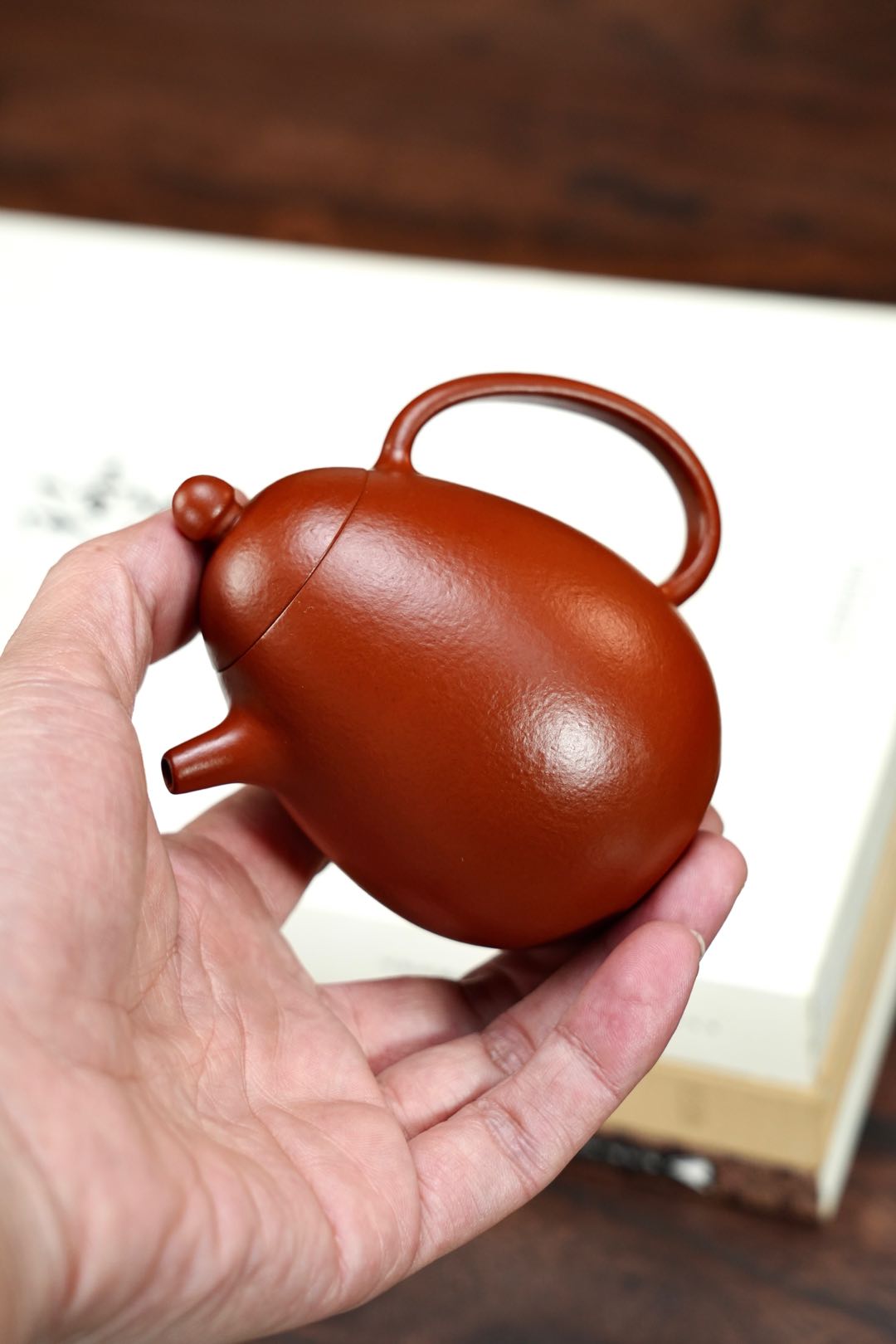 龍蛋2 實物圖 5